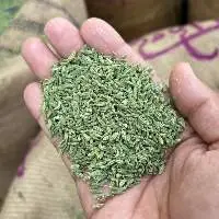 Fennel
