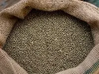 Pearl Millet (Bajra) - Native Variety