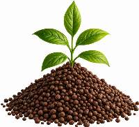 Organic Granular Fertilizer (Soil Conditioner)