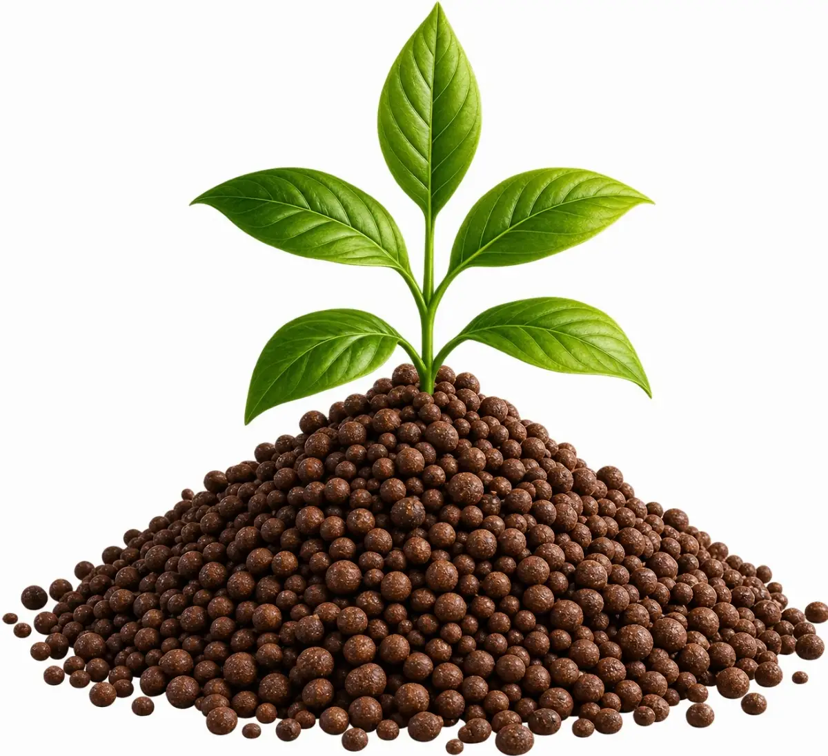 Organic Granular Fertilizer (Soil Conditioner)