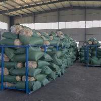 Dehydrated Garlic Granules 8-16 to 40-80 Mesh