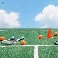 Pressureless Training Tennis Balls