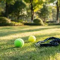 Heavy Duty Dog Tennis Balls