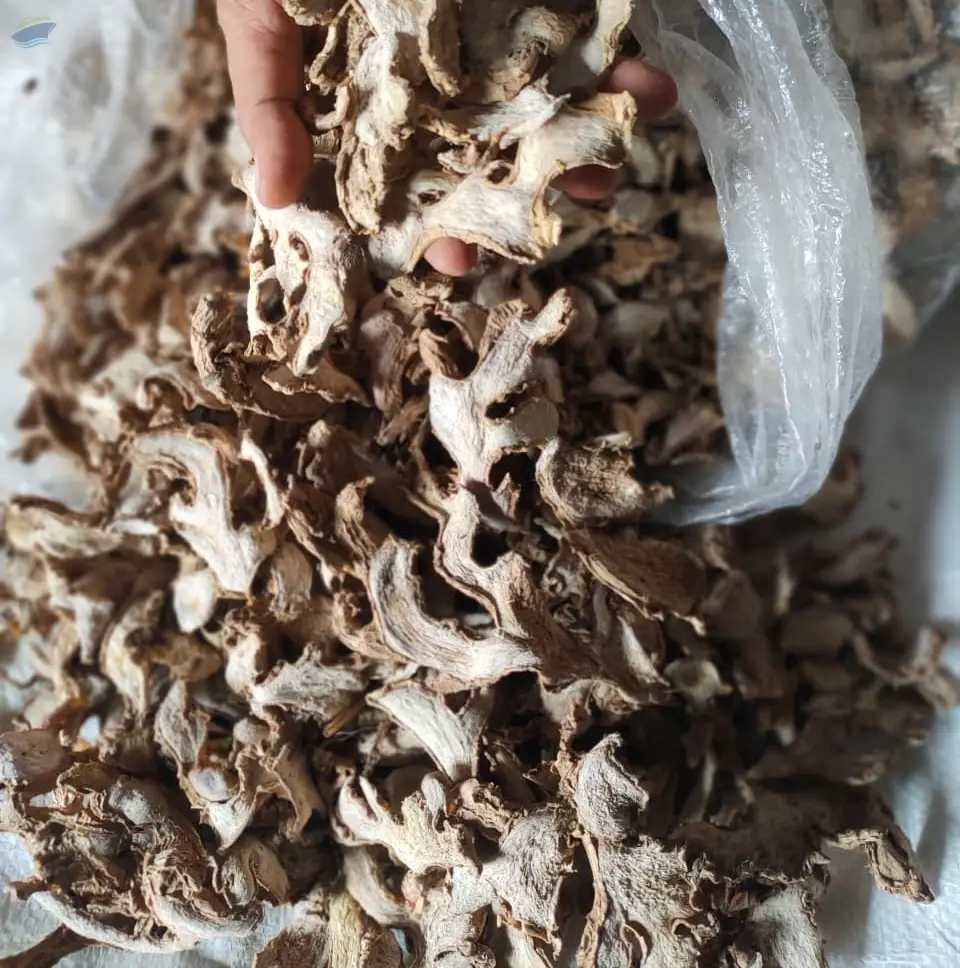 Dried Ginger