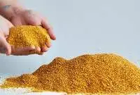 Corn DDGS / Maize DDGS