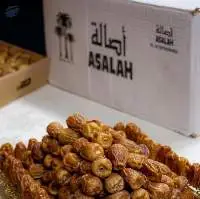 Premium Sukkari Dates (KURMA)