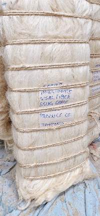 Tanzanian Sisal Fiber SSUG Grade