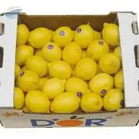Fresh Azerbaijani Lemons