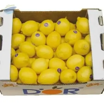 Fresh Azerbaijani Lemons