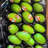 Fresh Azerbaijani Feijoas