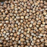Azerbaijani Hazelnuts