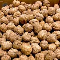 Azerbaijani Walnuts