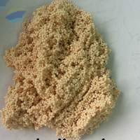 Uranium Extraction Resin