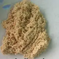 Uranium Extraction Resin