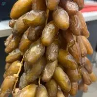 Algerian Dates - From Tolga / Biskra, Algeria