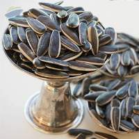 Striped Sunflower Seeds