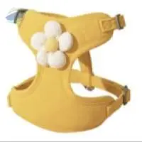 Daisy Harness and Leash Set - BS-122