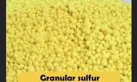 Sulfur Granular