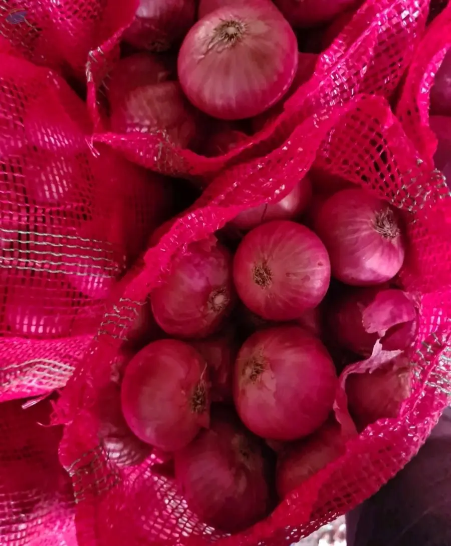 Fresh Indian Red Onion