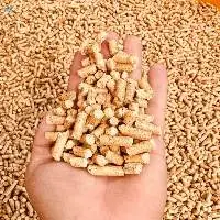 Premium Wood Pellets