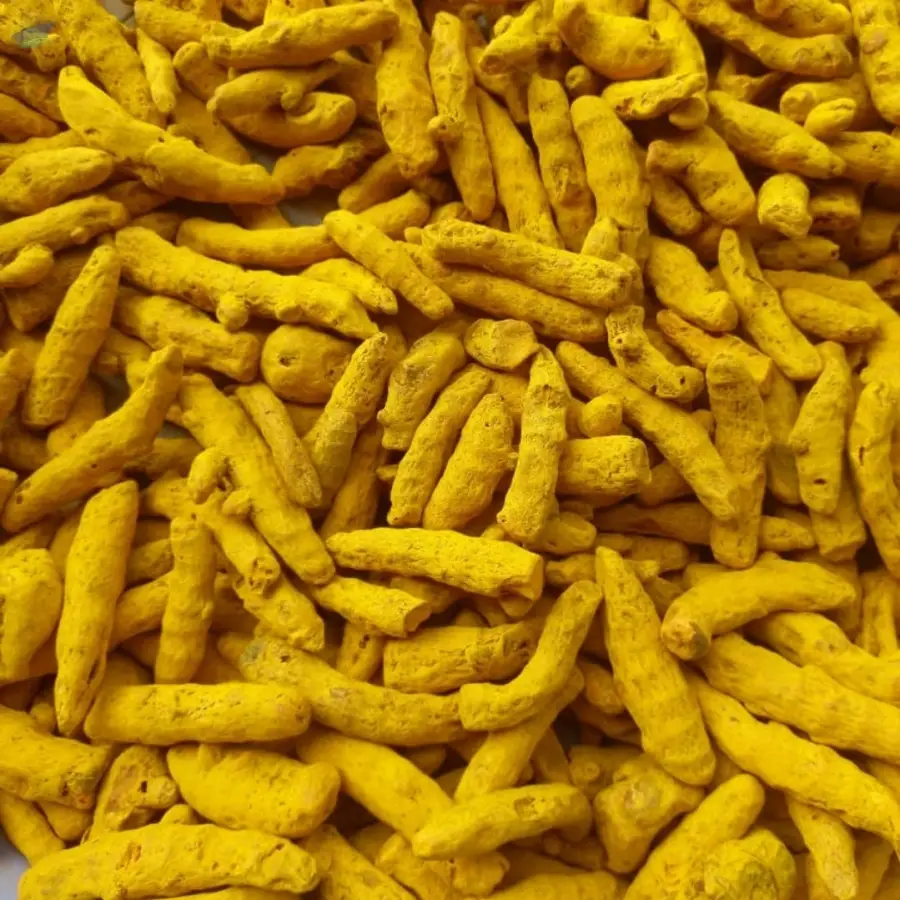 Turmeric Fingers Polished