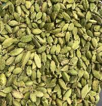 Premium Ecuadorian Whole Green Cardamom Pods