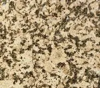 Tianshan Golden Diamond Granite Slabs and Tiles