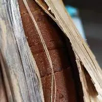 Natural Arenga Palm Sugar/Brown Sugar