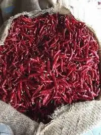 Dried Red Chilli