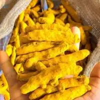 Salem Turmeric