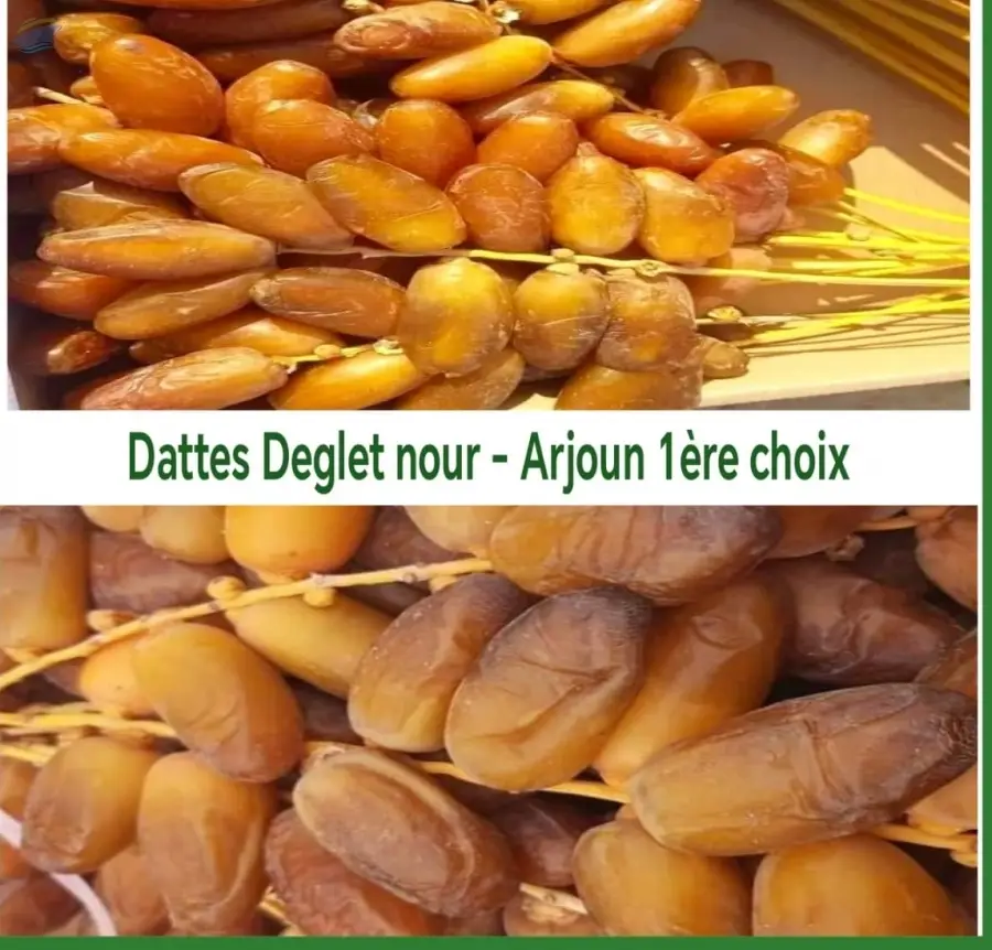Dates Deglet Nour 