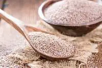Premium Psyllium Husk Isabgol Fiber Export