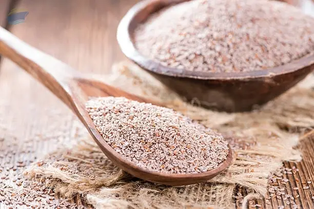 Premium Psyllium Husk Isabgol Fiber Export