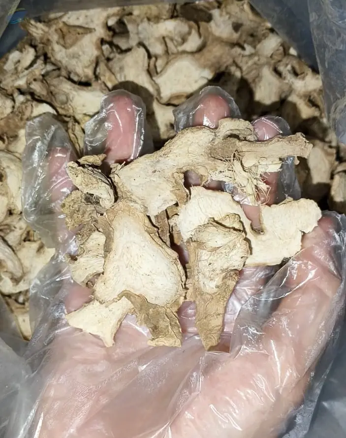 Dried Sliced Elephant Ginger