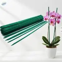 Bamboo Stakes/Sticks