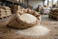 White Fonio Grain - 99% Purity
