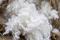 Polyester Fiber 1.2D Virgin PSF 38mm