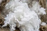 Polyester Fiber 1.2D Virgin PSF 38mm