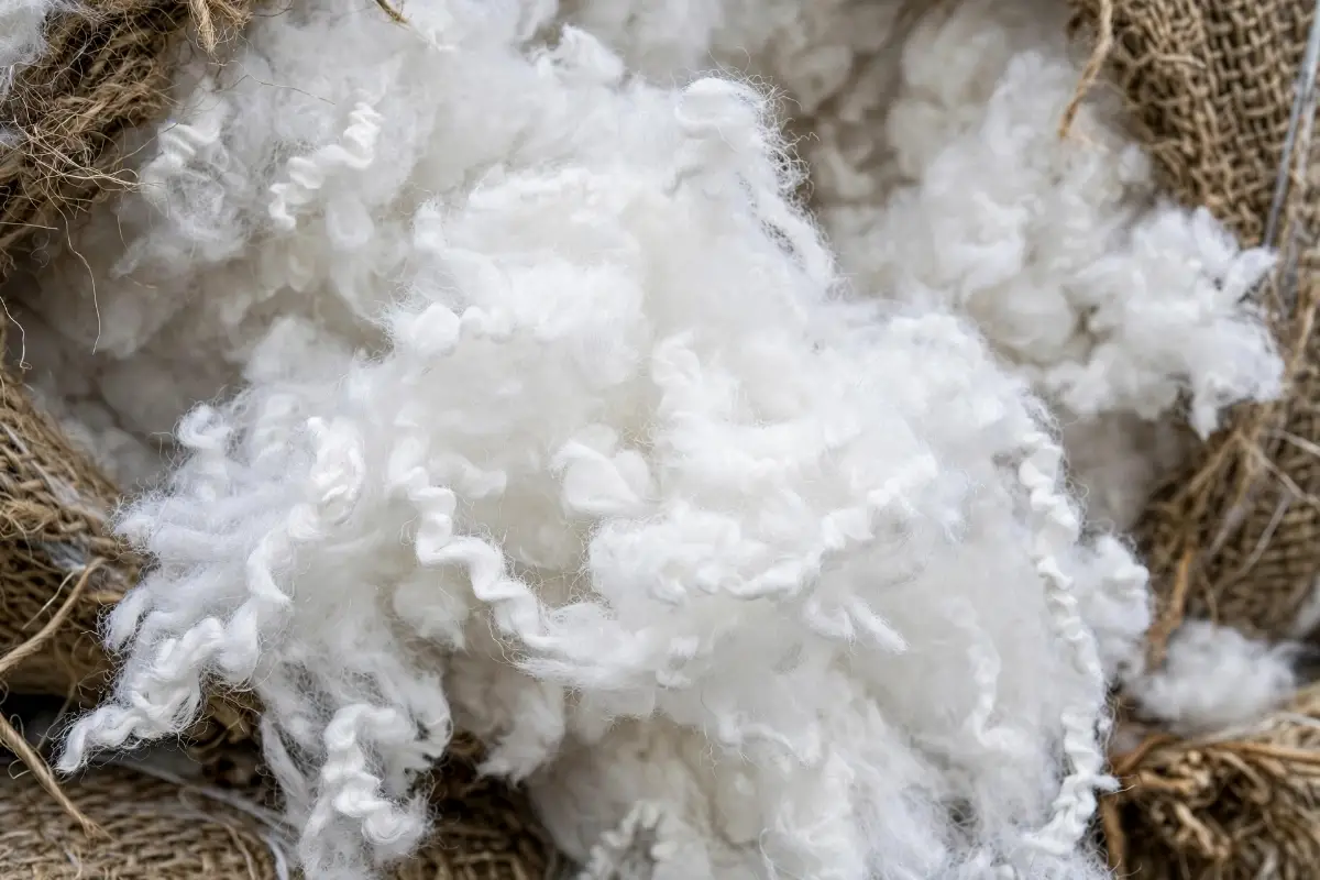 Polyester Fiber 1.2D Virgin PSF 38mm