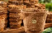 Coir Fiber Pots For Nursery And Plant Growing
