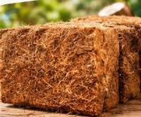 High EC Coco Chip Blocks For Horticulture Use