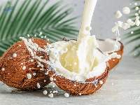 UHT Coconut Milk For Food And Beverage
