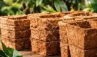 Polygon Coir Pots For Nursery, Plant Growing