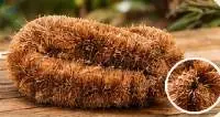 Coir U Shaped Brush For Household Cleaning