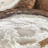 Coconut Milk Powder FC 60-65% - Spray Dried