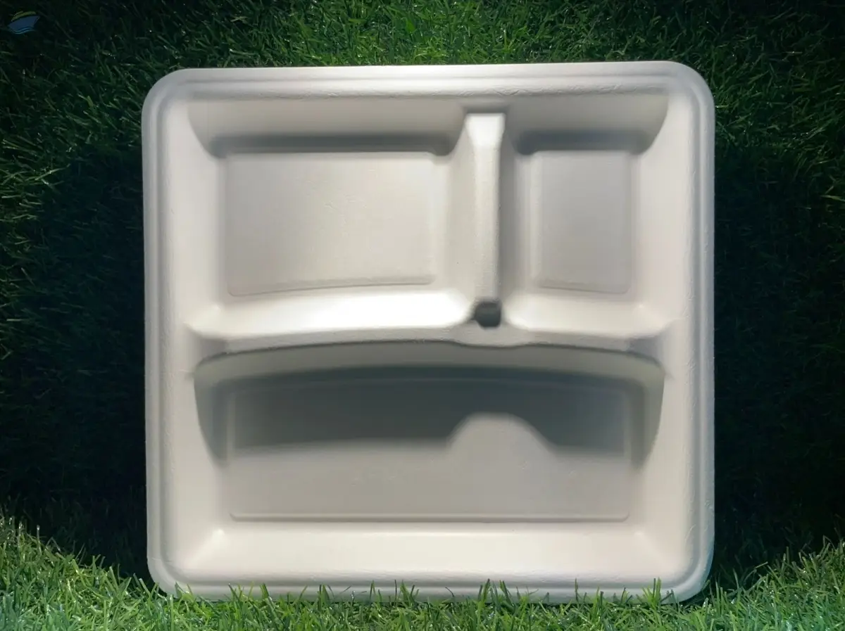 Bagasse Tableware