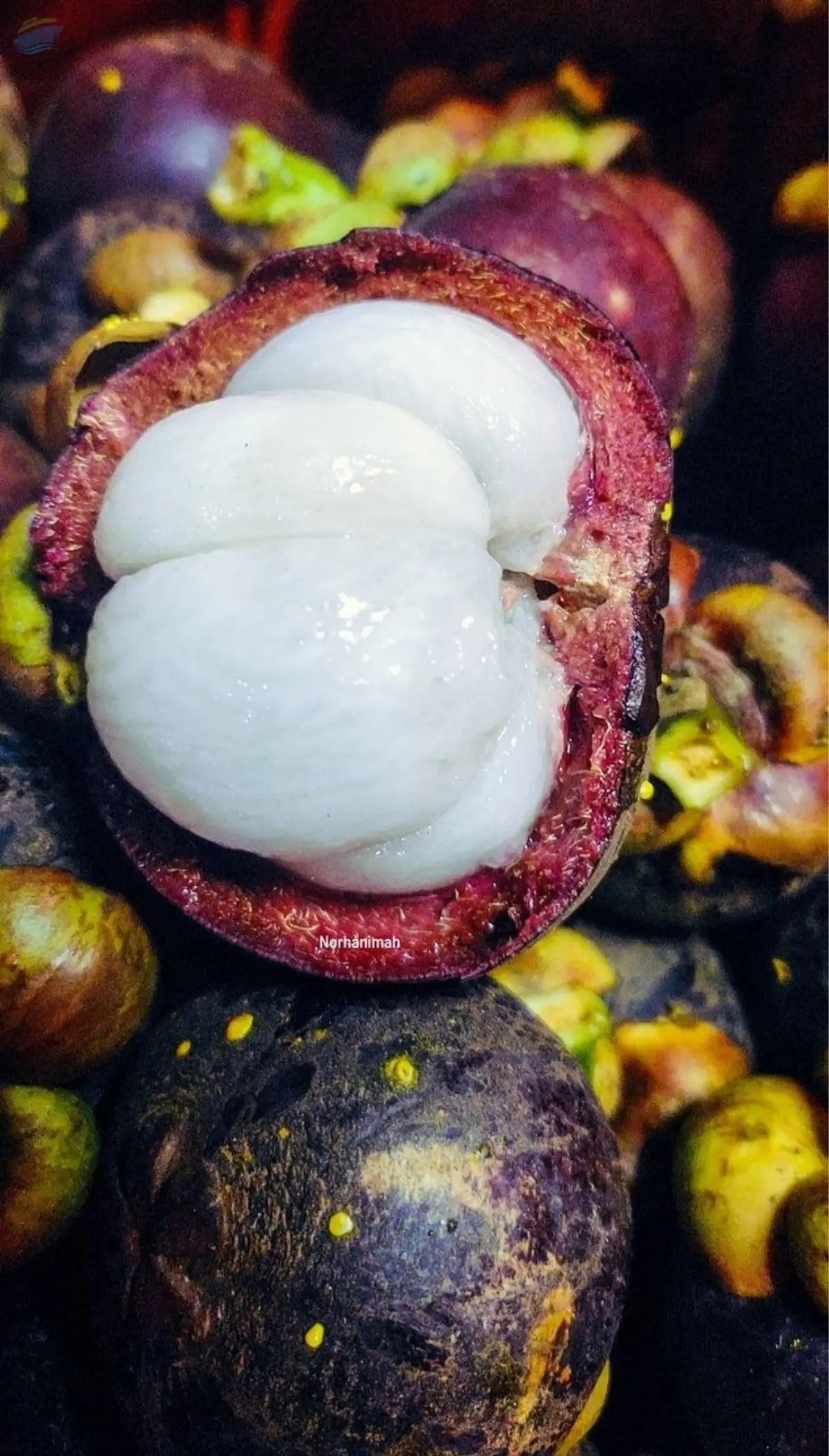 Fresh Mangosteen