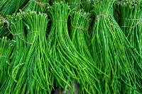 Long Beans