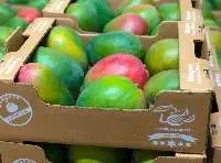 Fresh Keitt Mangoes