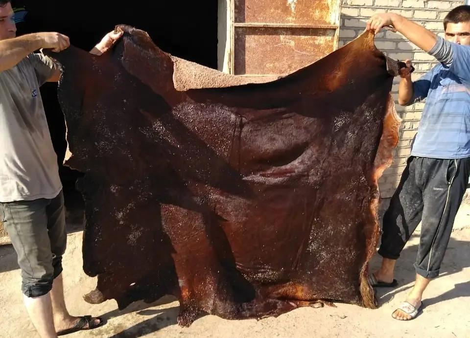Goats, Camel, Cow  Skins